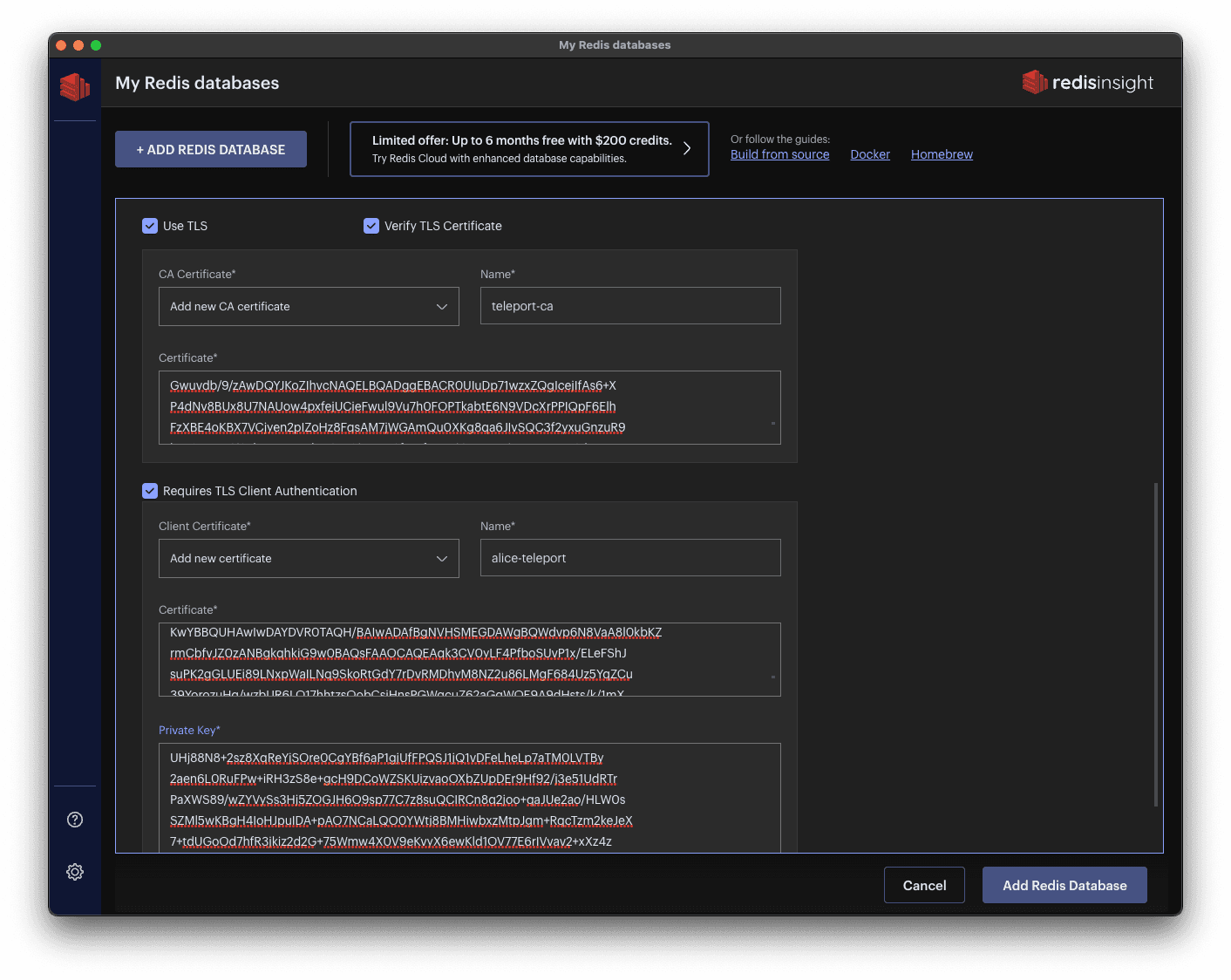 Redis Insight TLS Configuration